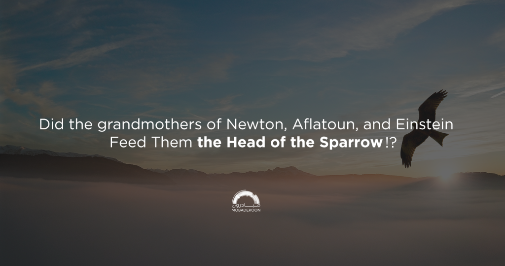 Did the grandmothers of Newton, Aflatoun, and Einstein Feed Them the Head of the Sparrow