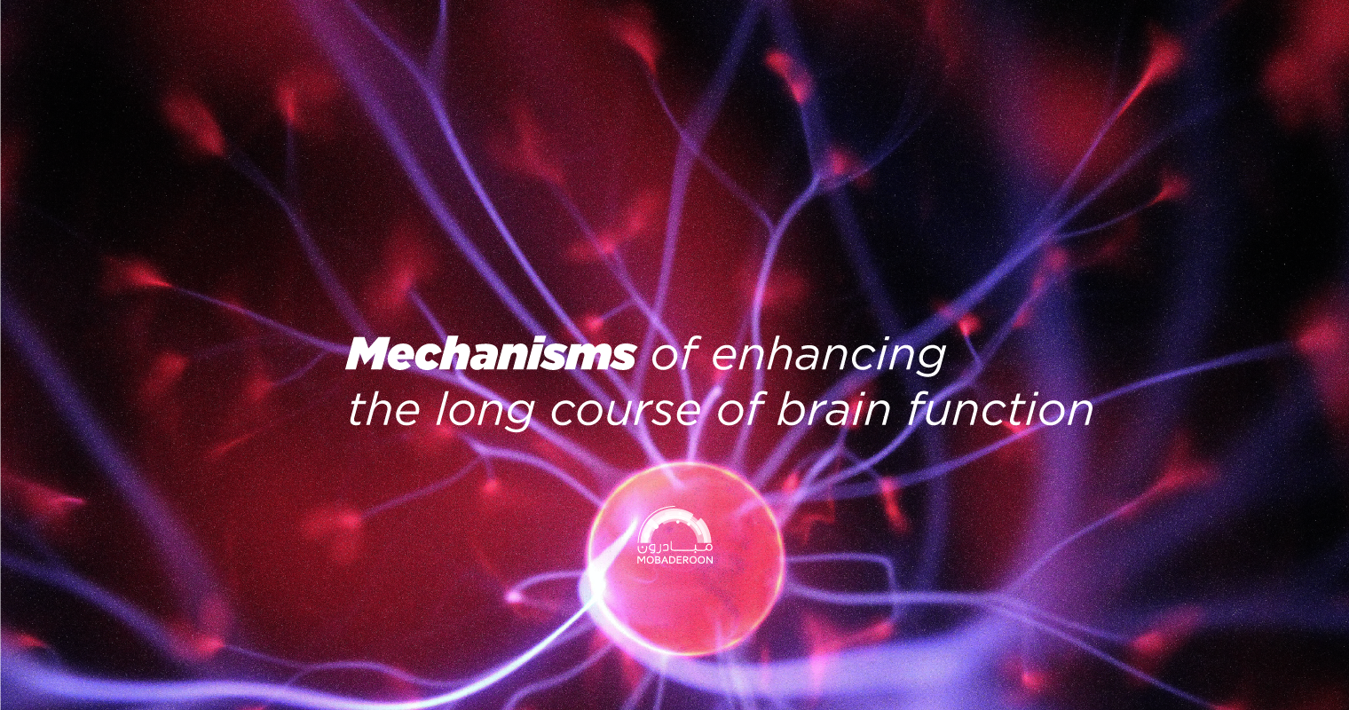 Mechanisms for enhancing the long course of brain work