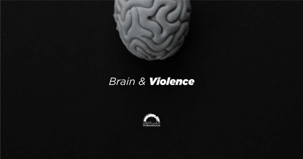 Brain and violence